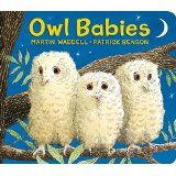 Owl Babies- book cover image