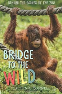 bridgetothewild