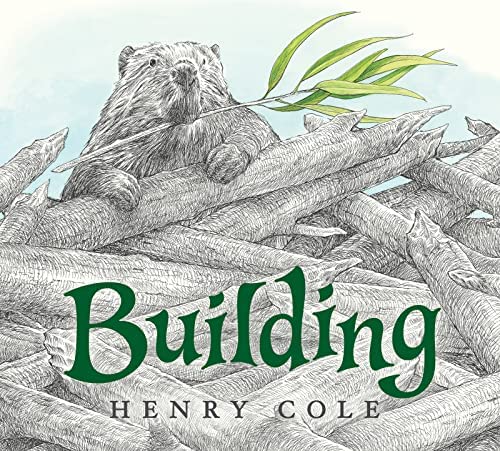 Building cover