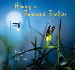 Thousand_Fireflies