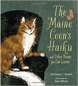 maine coon haiku