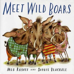 meet wild boars