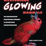 Cover of Mysterious Glowing Mammals.