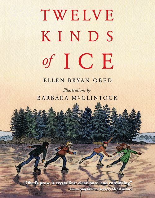 twelve-kinds-of-ice