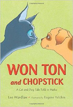 won ton and chopstick